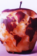Thumbnail image for Can We Feed the World and Sustain the Planet? – Scientific American
